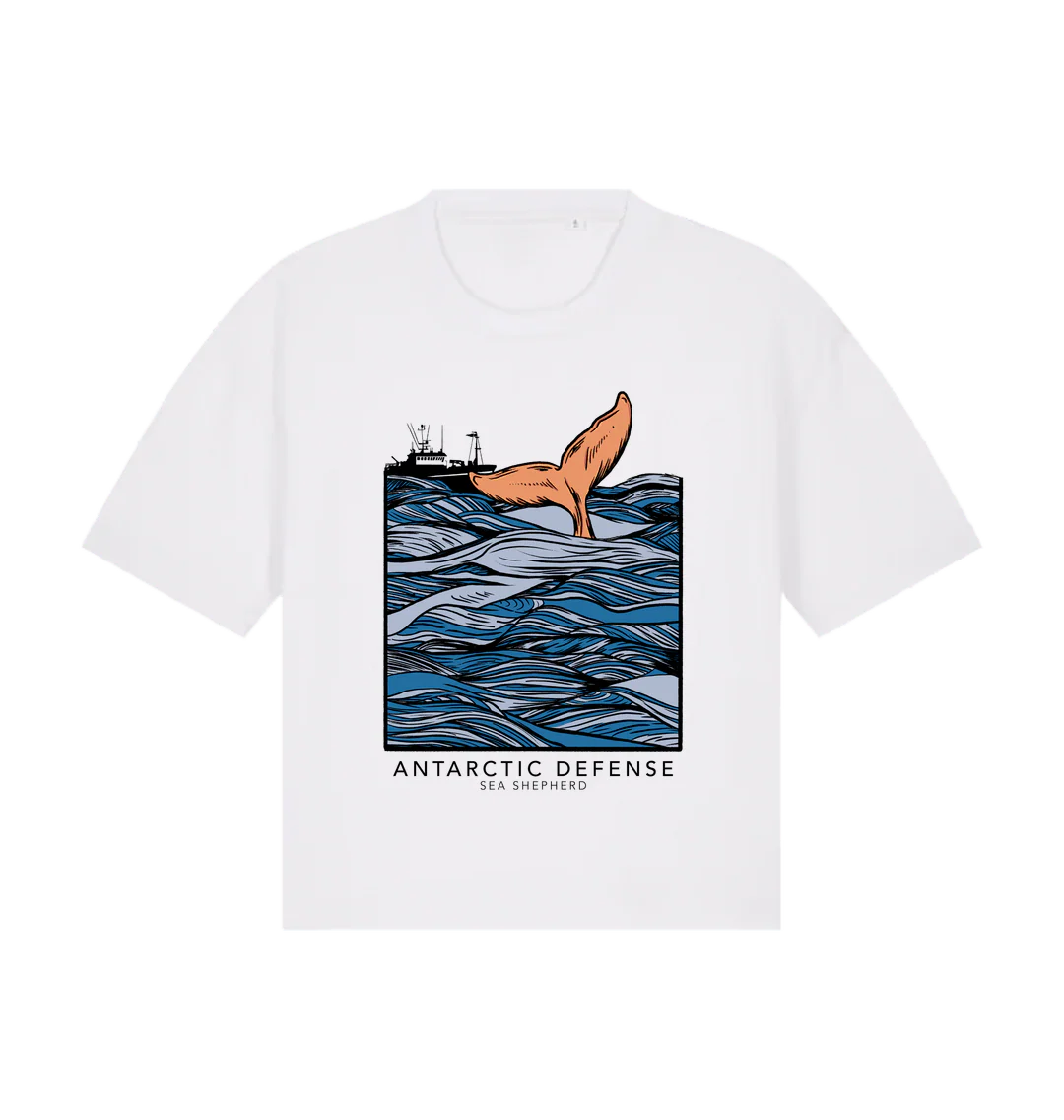 Allankay Boxy Fit T-Shirt - Image 2