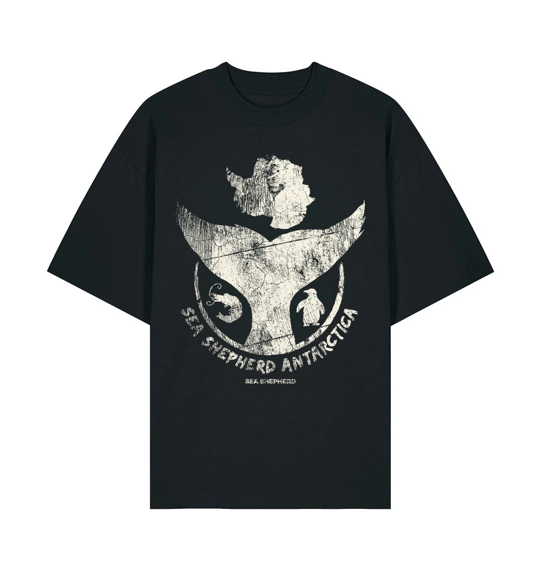 Antarctic Boxy Fit T-Shirt - Image 2