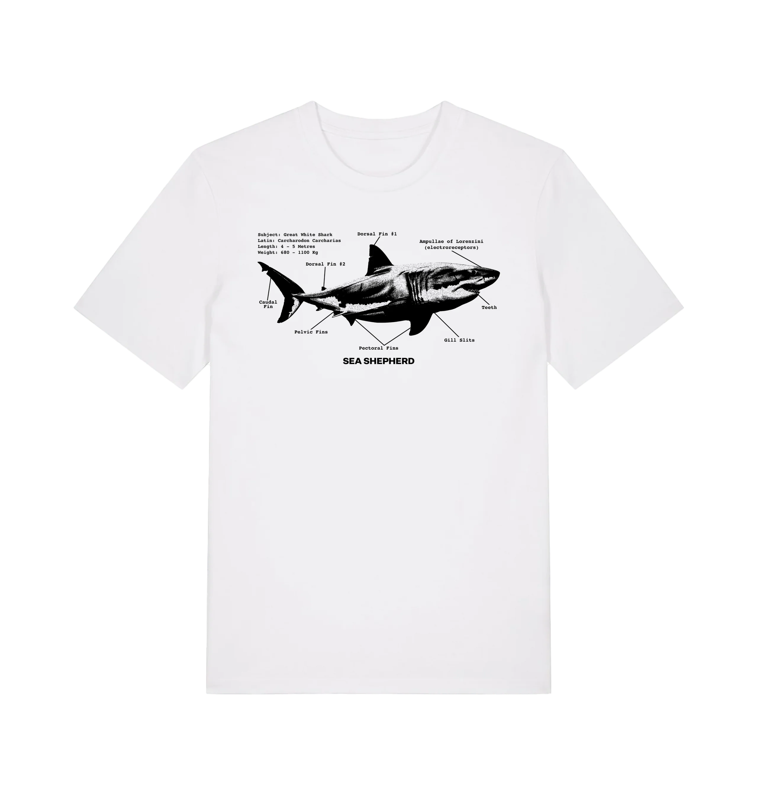 Great White Shark Oversized T-shirt - Image 3