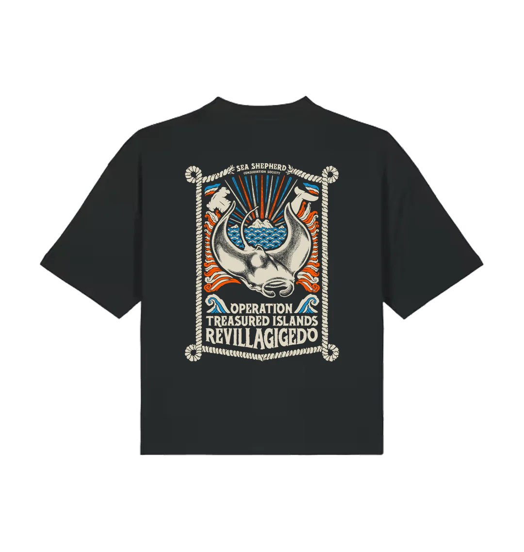 Treasured Islands Women's Oversized T-shirt - Image 6
